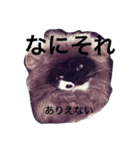 かんげきにゃん（個別スタンプ：3）