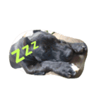 American Pitbull（個別スタンプ：13）