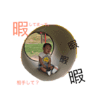 れんまるの日常スタンプ（個別スタンプ：6）