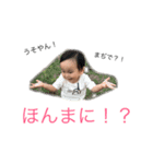 れんまるの日常スタンプ（個別スタンプ：8）