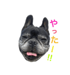 クロスケのふがふがスタンプ1（個別スタンプ：9）