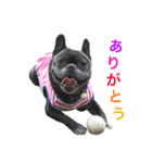 クロスケのふがふがスタンプ1（個別スタンプ：16）