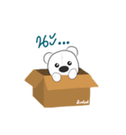 bear 555（個別スタンプ：28）