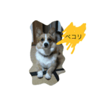 MJふく（個別スタンプ：1）