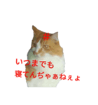 Tweet tweets（個別スタンプ：4）
