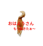 Tweet tweets（個別スタンプ：6）