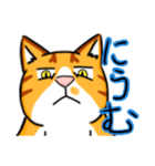 殘念猫日常（個別スタンプ：10）