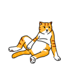 殘念猫日常（個別スタンプ：13）