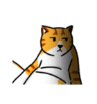 殘念猫日常（個別スタンプ：14）