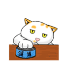 殘念猫日常（個別スタンプ：21）