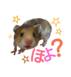 子供のハムスター（個別スタンプ：2）