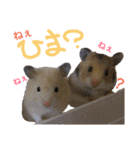 子供のハムスター（個別スタンプ：13）
