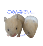 子供のハムスター（個別スタンプ：15）