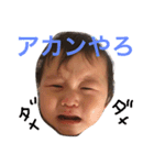 隼たん（個別スタンプ：5）