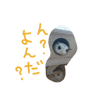 ピッピの森の仲間達（個別スタンプ：2）