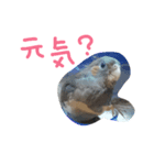 ピッピの森の仲間達（個別スタンプ：3）