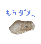 ピッピの森の仲間達（個別スタンプ：7）