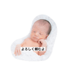 ハルハルハルキング（個別スタンプ：3）