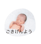 ハルハルハルキング（個別スタンプ：22）