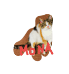 monako world（個別スタンプ：6）