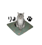 いしもとねこ（個別スタンプ：9）