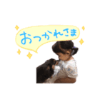 P P ぴーやん（個別スタンプ：3）