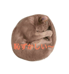 アビのシャイちゃん（個別スタンプ：7）