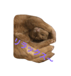 アビのシャイちゃん（個別スタンプ：8）