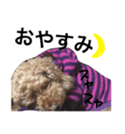ROCO.T（個別スタンプ：8）