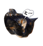 猫たちのつぶやき（個別スタンプ：4）