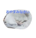 ネズミ？？（個別スタンプ：1）