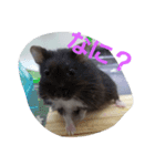 ネズミ？？（個別スタンプ：3）