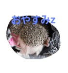 ネズミ？？（個別スタンプ：4）
