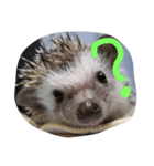 ネズミ？？（個別スタンプ：5）