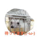 ネズミ？？（個別スタンプ：7）