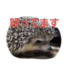 ネズミ？？（個別スタンプ：8）