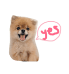 Sugar and friends.（個別スタンプ：8）