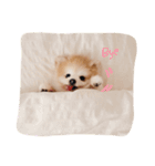 Sugar and friends.（個別スタンプ：23）