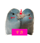 こたとりたの家族（個別スタンプ：12）