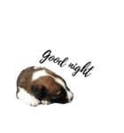 MyNameIsMountain（個別スタンプ：8）