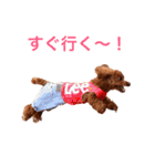 Cooちやのひとり言（個別スタンプ：1）
