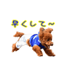 Cooちやのひとり言（個別スタンプ：2）