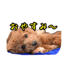 Cooちやのひとり言（個別スタンプ：6）