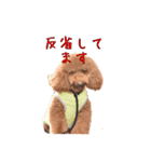 Cooちやのひとり言（個別スタンプ：10）