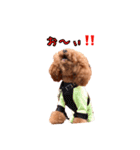 Cooちやのひとり言（個別スタンプ：16）