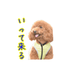 Cooちやのひとり言（個別スタンプ：19）