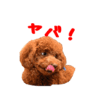 Cooちやのひとり言（個別スタンプ：21）