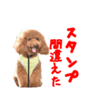 Cooちやのひとり言（個別スタンプ：22）
