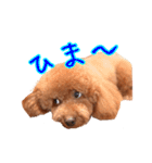 Cooちやのひとり言（個別スタンプ：23）