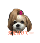ギズとオレオ（個別スタンプ：7）